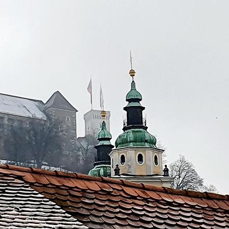 Petkovsek Rooms And Apartments ليوبليانا المظهر الخارجي الصورة