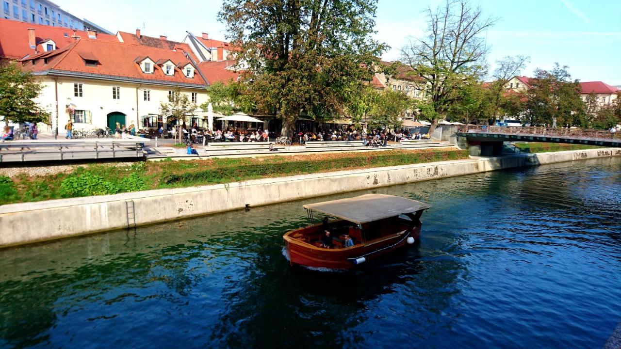 Petkovsek Rooms And Apartments ليوبليانا المظهر الخارجي الصورة