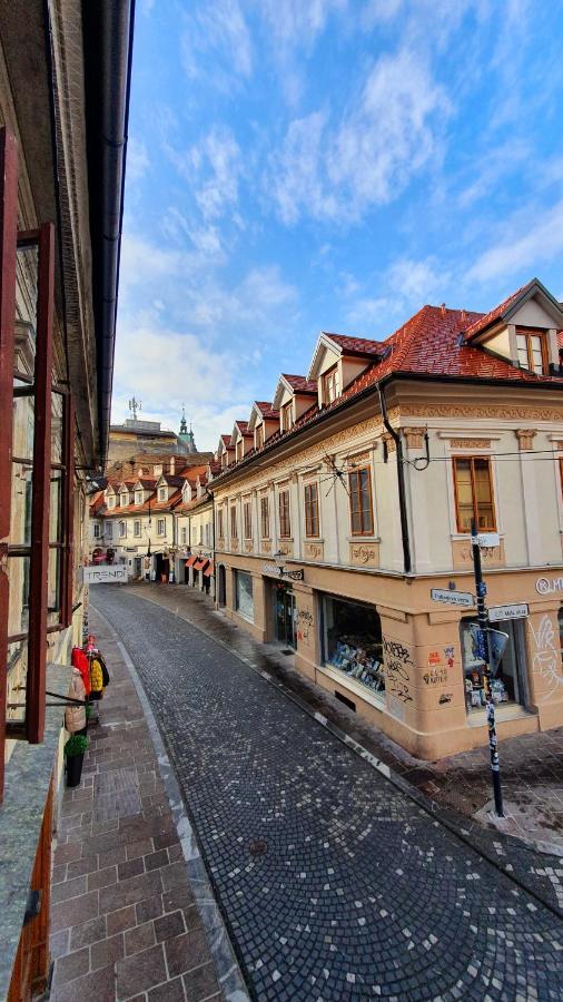 Petkovsek Rooms And Apartments ليوبليانا المظهر الخارجي الصورة